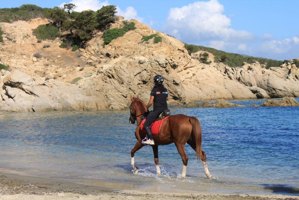 Agriturismo Sarrabus San Priamo エクステリア 写真