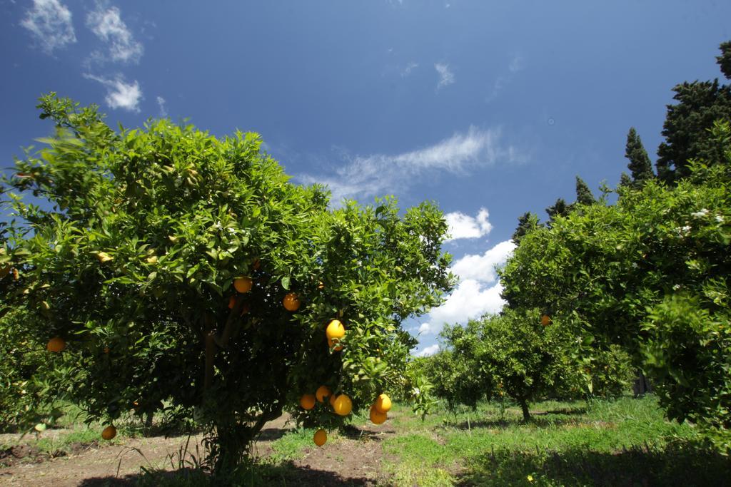 Agriturismo Sarrabus San Priamo エクステリア 写真