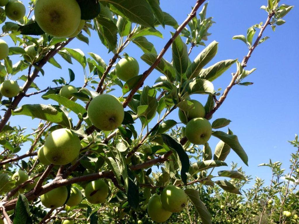 Agriturismo Sarrabus San Priamo エクステリア 写真