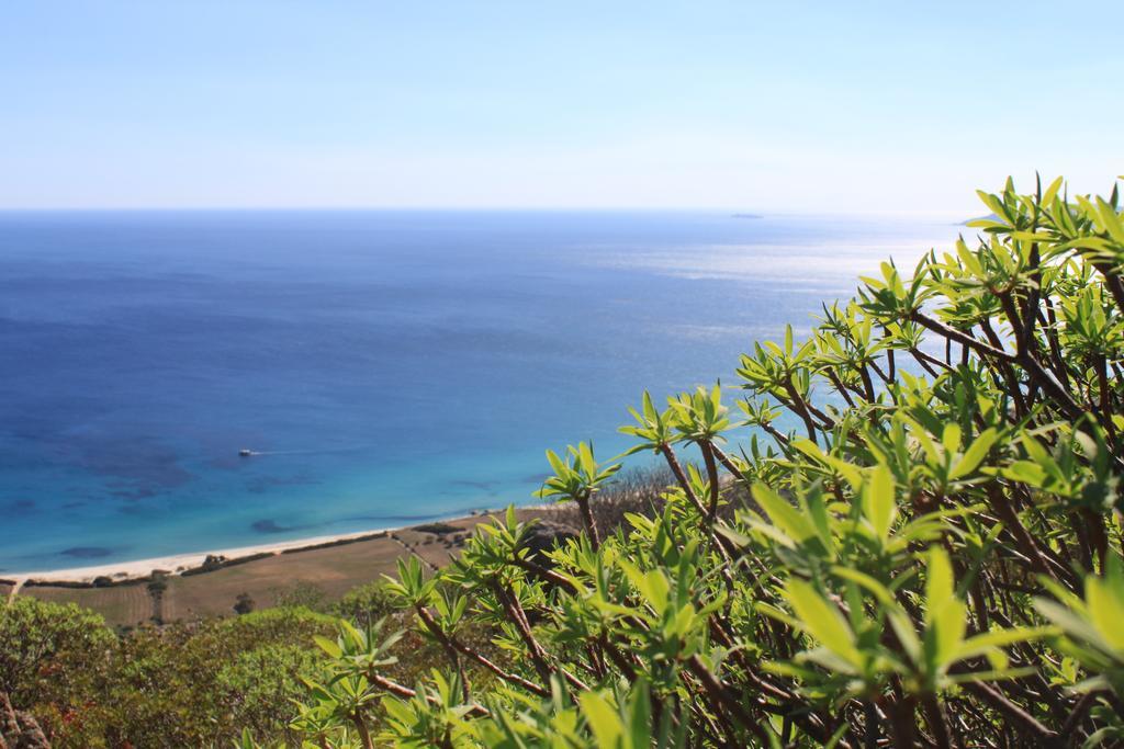 Agriturismo Sarrabus San Priamo エクステリア 写真